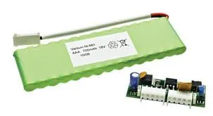 [VIDE509/90] Bateria emergencia EASY-ETERNA 90